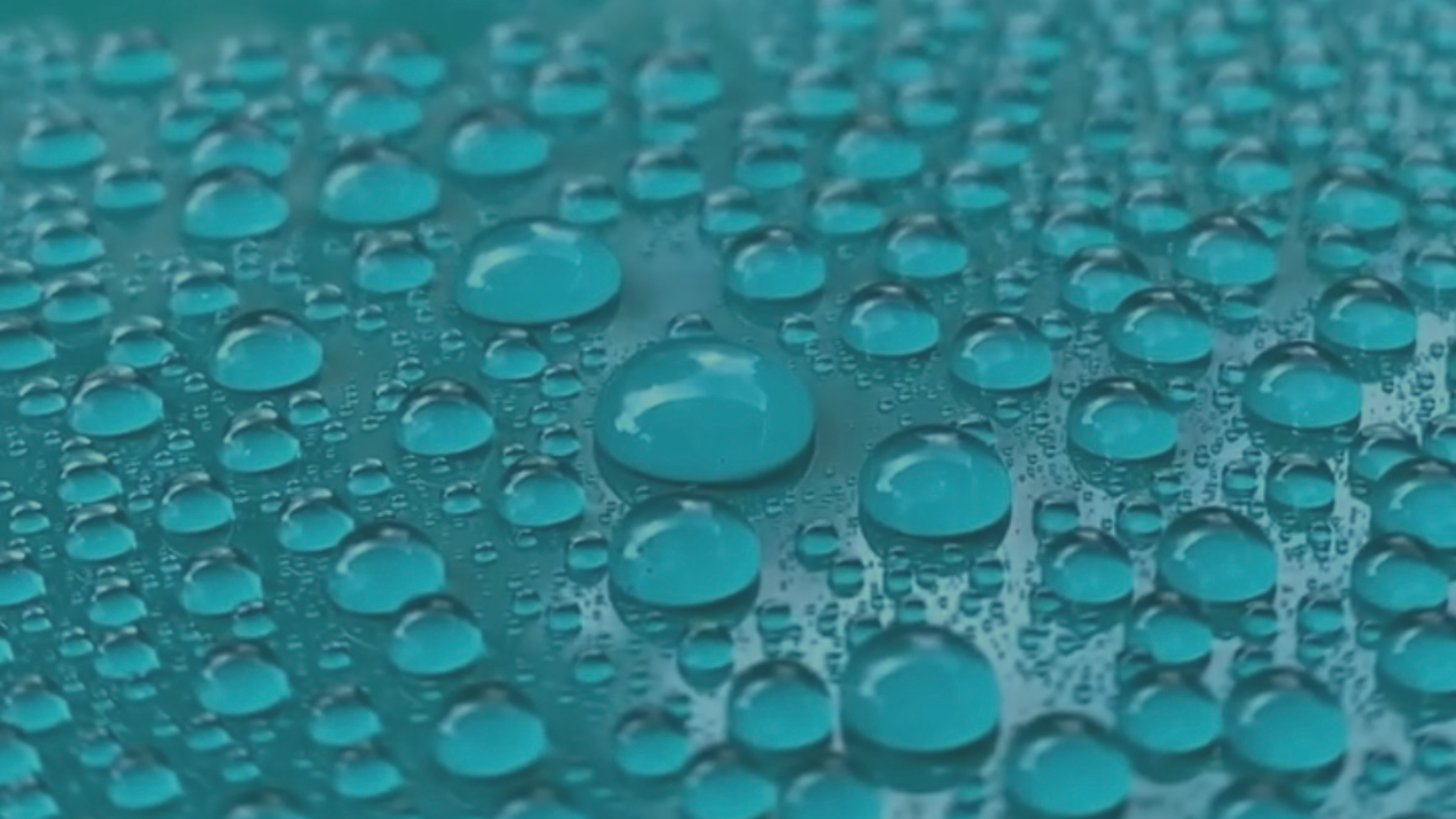 Waterbeading op autolak na behandeling met Swippy Carnauba wax