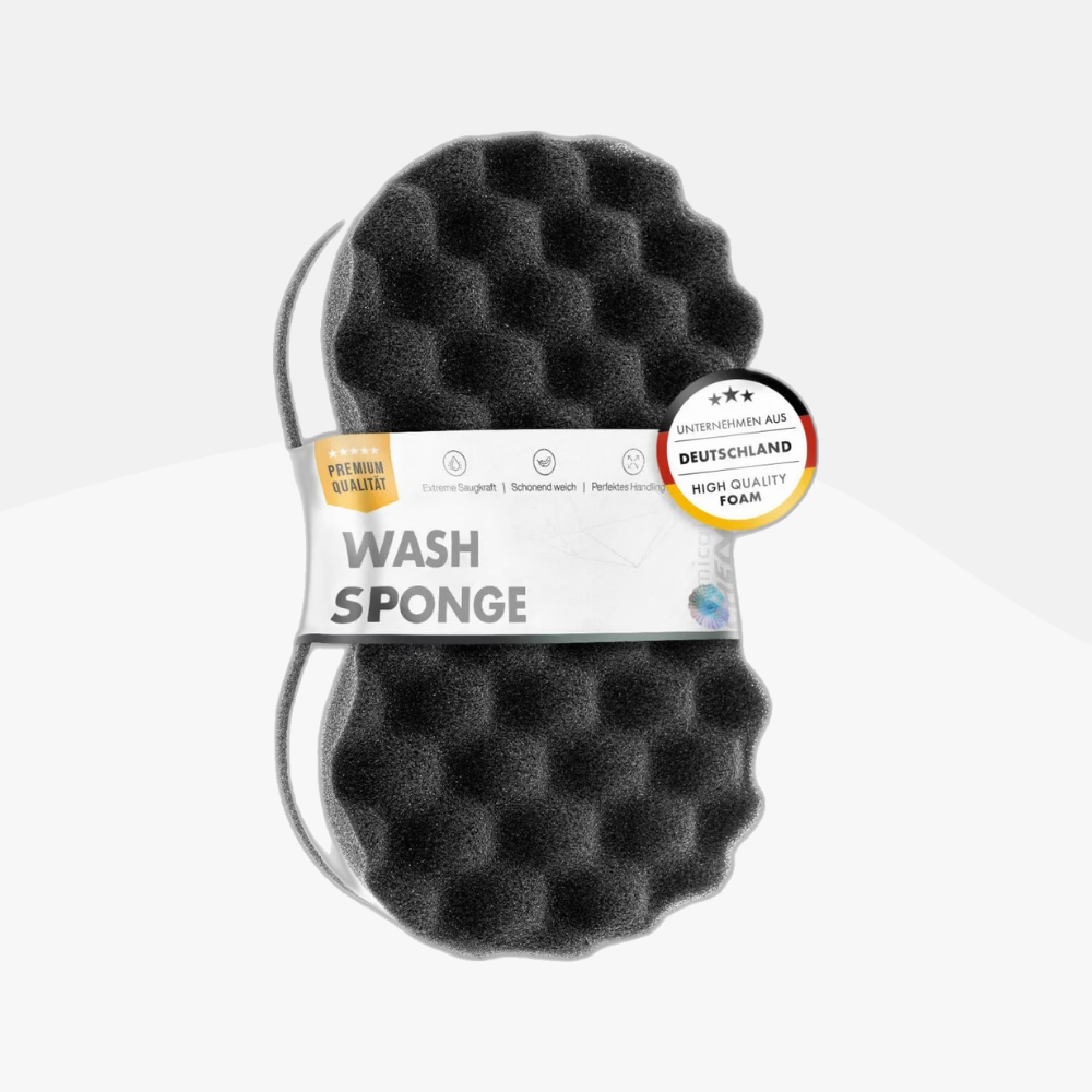 Wash Sponge